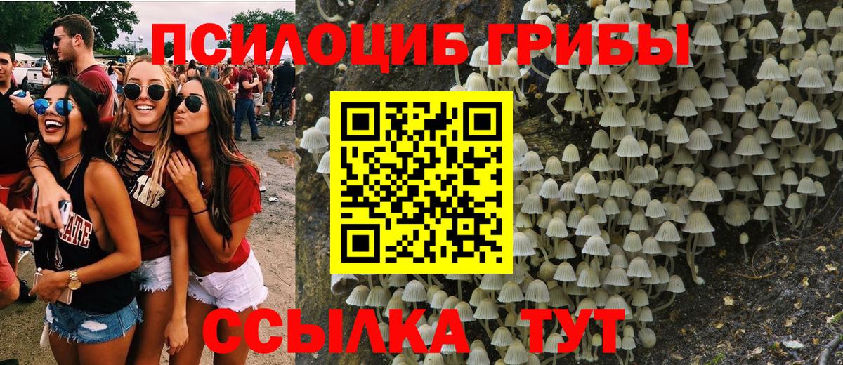 Киров  Псилоцибиновые грибы GOLDEN TEACHER  Псилоцибиновые грибы Magic Shrooms  Вход с VPN 